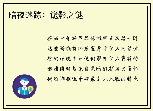 暗夜迷踪：诡影之谜
